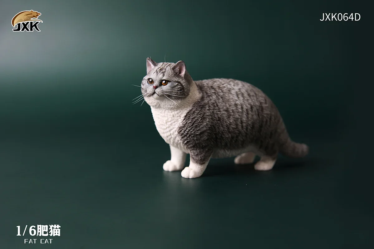 JXK 1:6 Scale Fat Cat Figure Cute Pet Animal Model Collector Toy