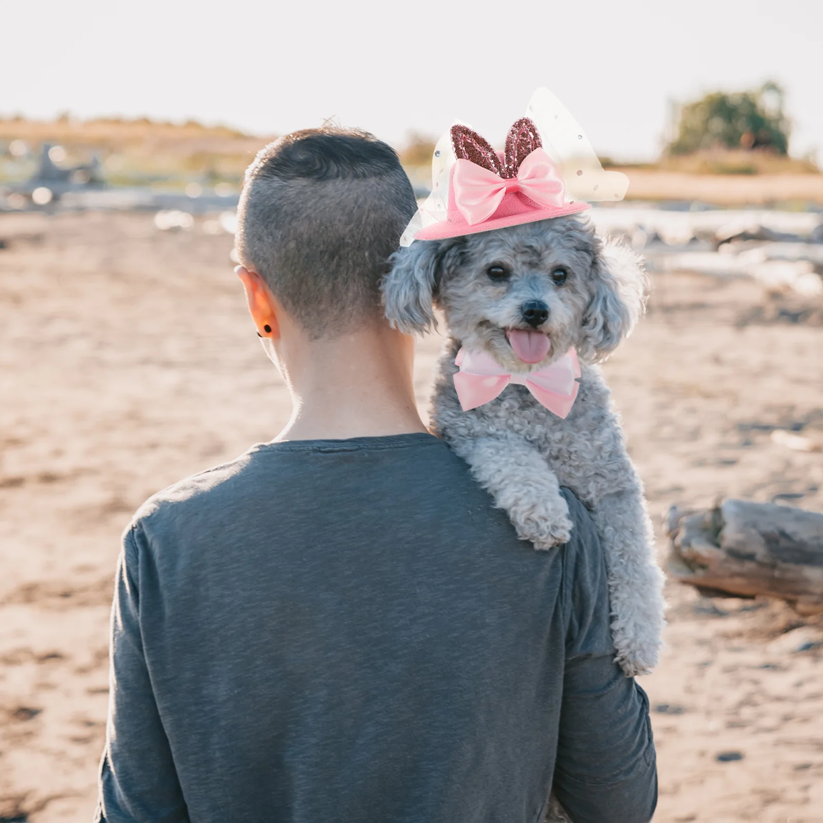 

1 Set of Creative Puppy Dog Outfit Adorable Pet Clothing Dog Costume Easter Skirt Bow Tie Hairband Kit