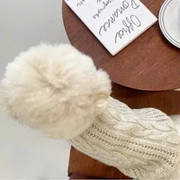 Solid Winter Sweater for Small Pets