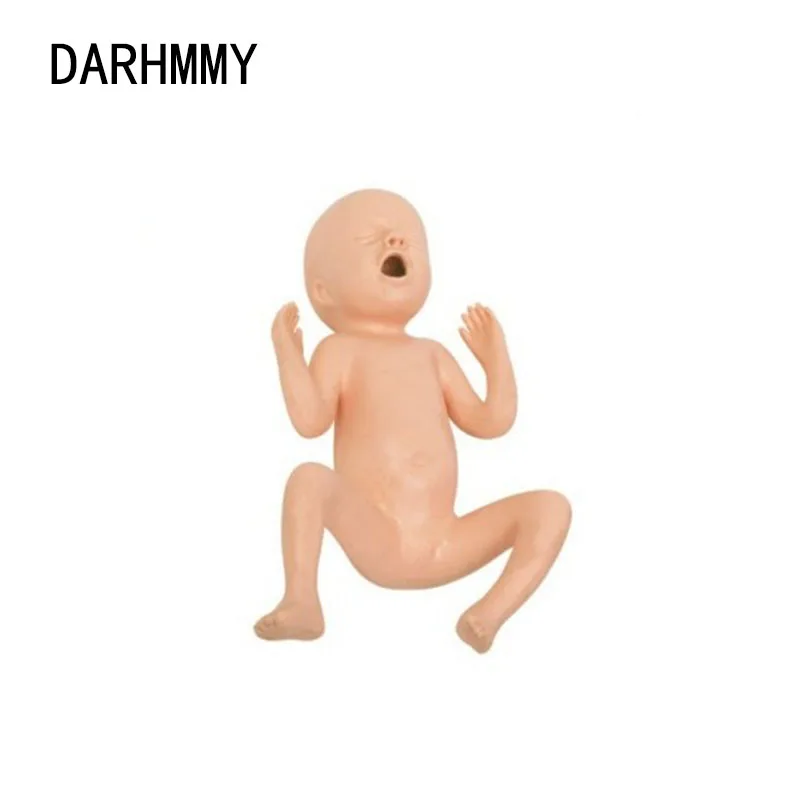 

DARHMMY Medical Science Advanced Twenty-four Weeks Premature Infant Manikin