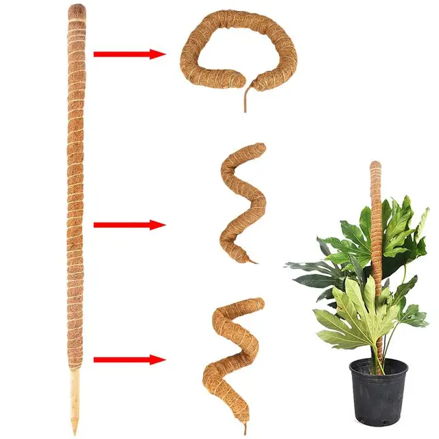 Hajlítható Mohaoszlop Hegymászás Coco Coir Moss Pole Plant Támogató Bot A Monstera Gardening Beltéri Növények Támogatása - Image 4