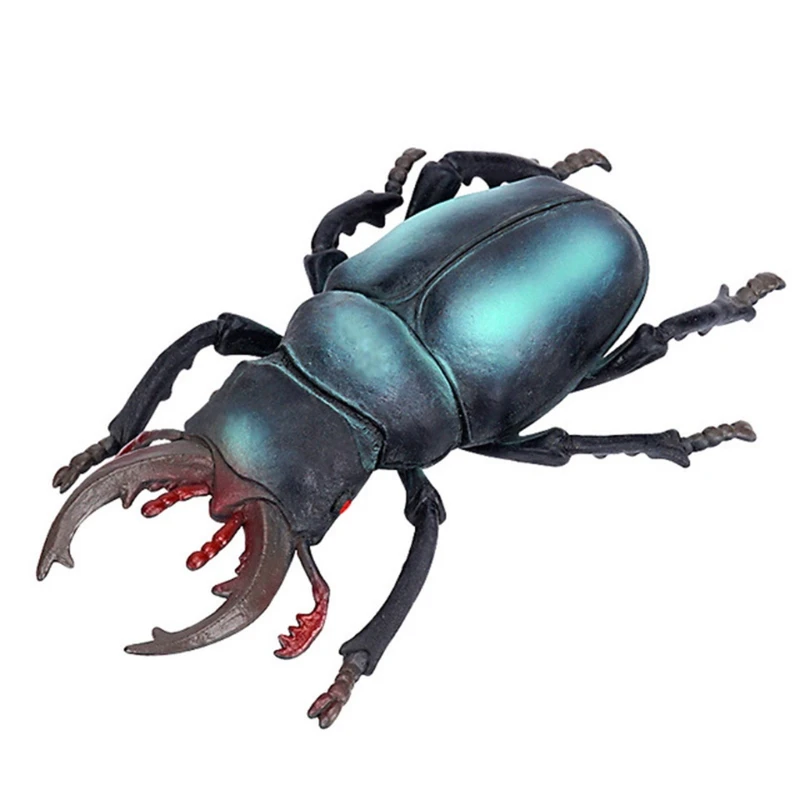 

Insect Simulation Model Toys Simulation Wildlife Model Ornaments Creepy Lifelike Fake Spiders Cricket Ladybug Grasshoppe E65D
