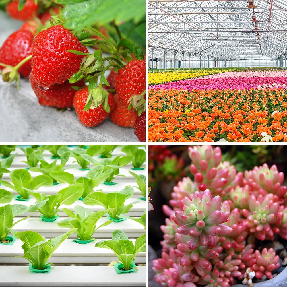 Рисунок 6 - Светодиодсветильник фитолампа полного