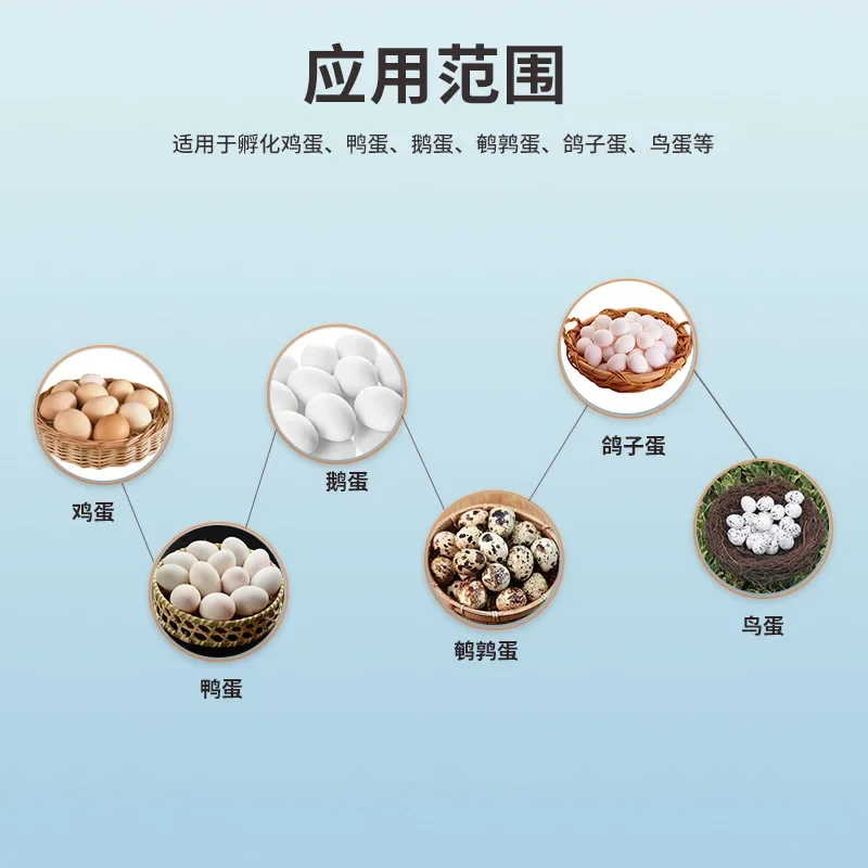 Automatic Home Incubator Tray for Duck Chicken Goose Bird Eggs