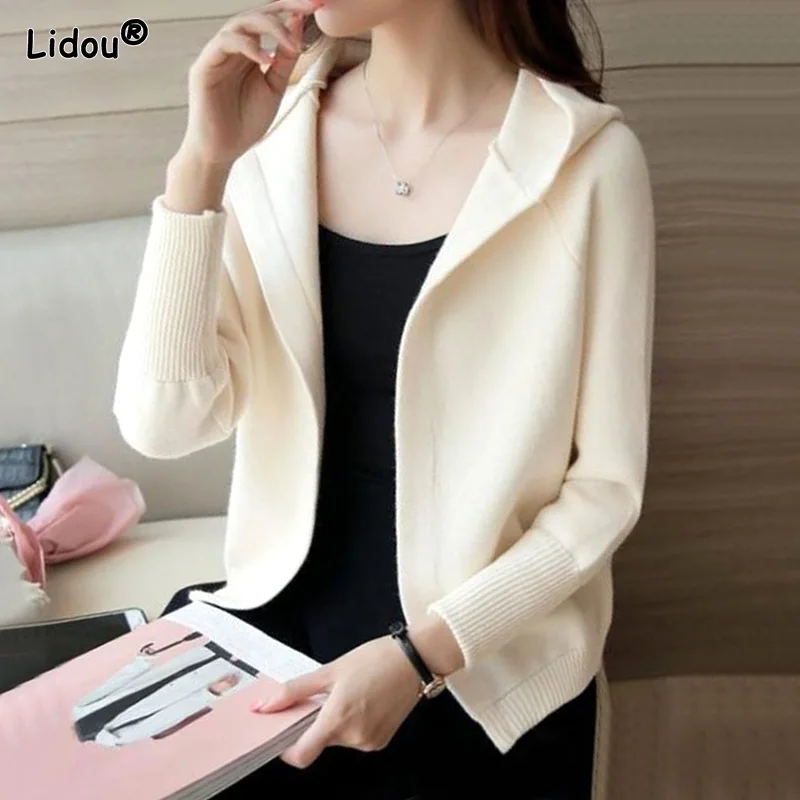

Thick Solid Casual Sweaters Cardigan Korean Loose Autumn Winter Women's Clothing 2022 Comfortable Simple Hooded Supple Elegant