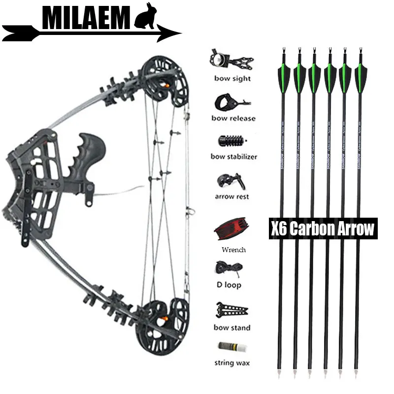 50lbs Archery Compound Bow Carbon Arrows Steel Ball Bow IBO350FPS Right Hand Compound Bow Hunting Shooting Accessories