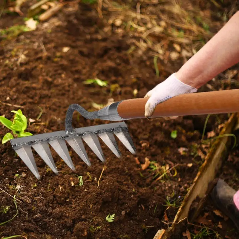 Zappa da giardino in ferro a 4-7 denti, rastrello per diserbo, attrezzo agricolo, rastrello per afferrare, allentare il terreno, chiodo per rastrello, attrezzo per rastrellare, manufatto, erpice, attrezzi agricoli_voghion.com