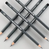 2H HB B 2B 3B 4B 5B 6B 7B 8B 12B 14B Charcoal Pencils for Drawing Sketching Shading Artists Beginners Graphite Sketch Pencil Set 1