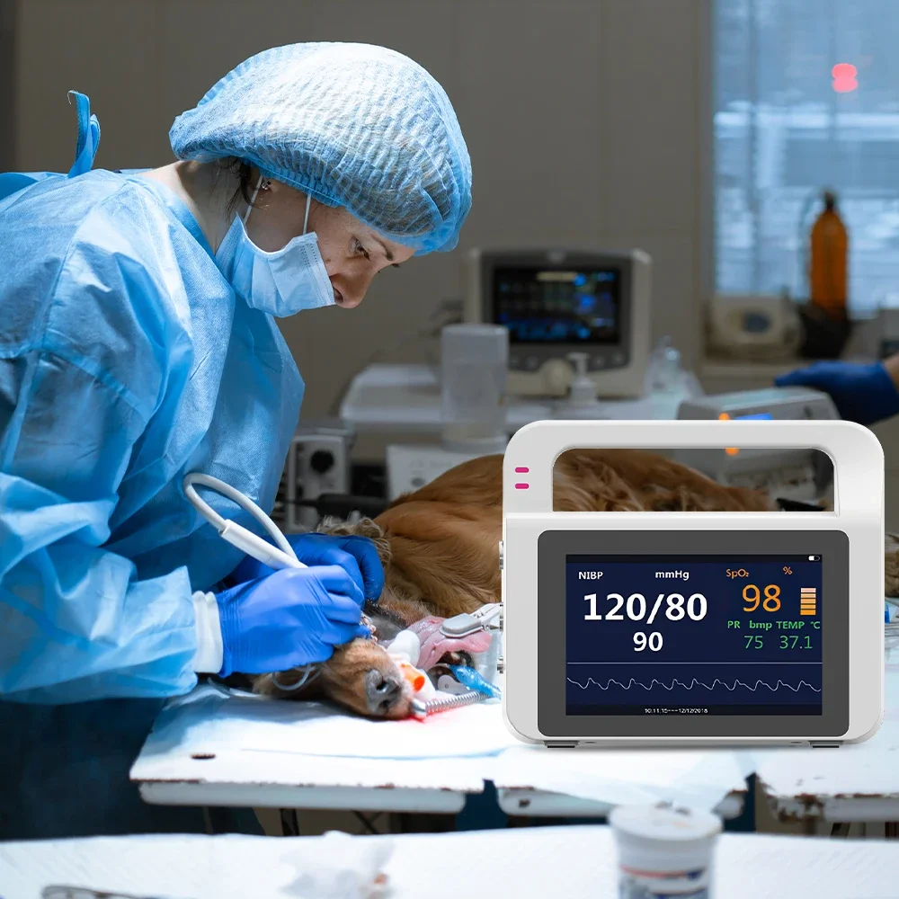 VE5 Veterinary Monitor Portable veterinary Ultrasound 5 inch Touch Screen veteri