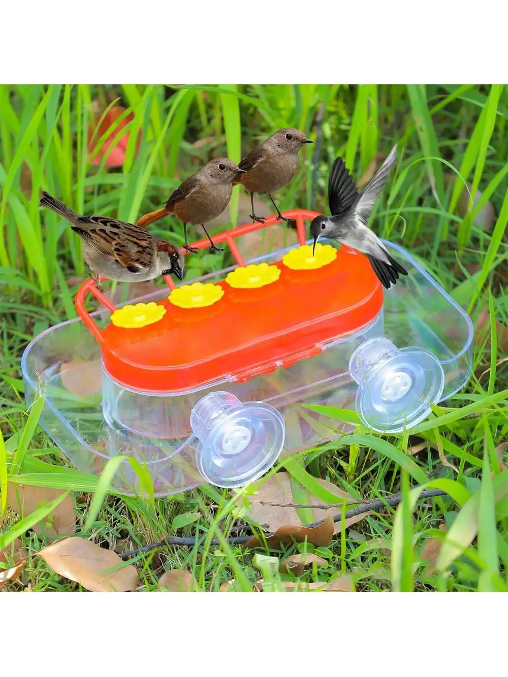 Window Hummingbird Feeders, Strong Suction Cups Hummingbird Feeder With Ant Moat, 4 Feeding Ports, Easy To Clean And Refill