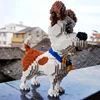 2000+pcs 16013 Mike Dog Building Blocks Diamond Micro Small Particles Spelling Toy Pet Dog Block Model Toys for Children Gifts 6