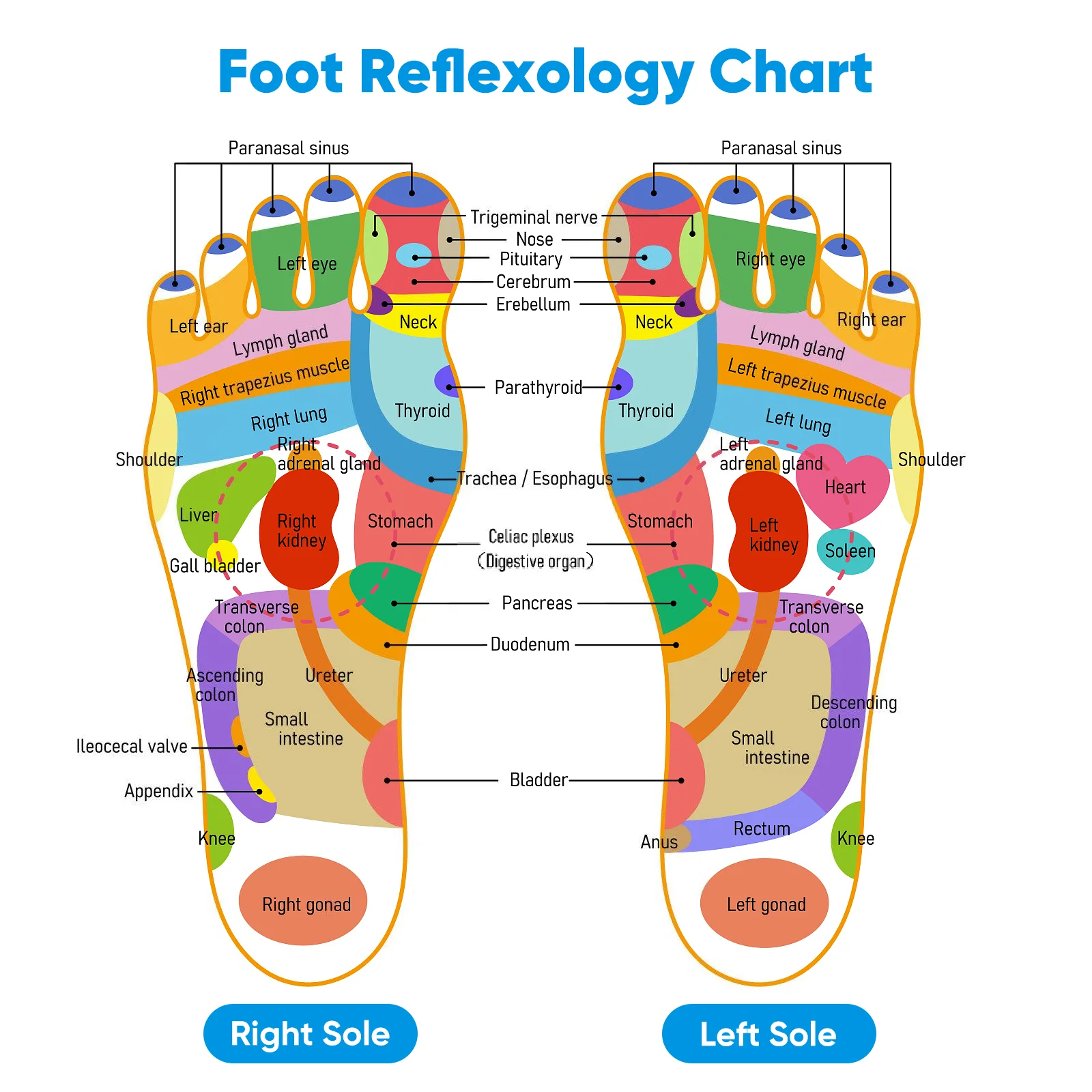Рисунок 2 - Массажер для дальних ног с подогревом