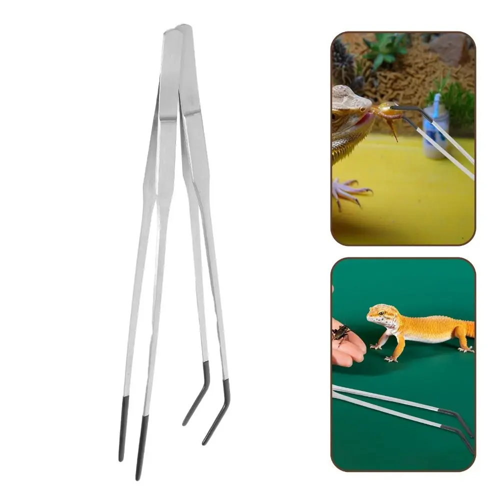 Stainless Steel Reptile Feeding Tongs 1