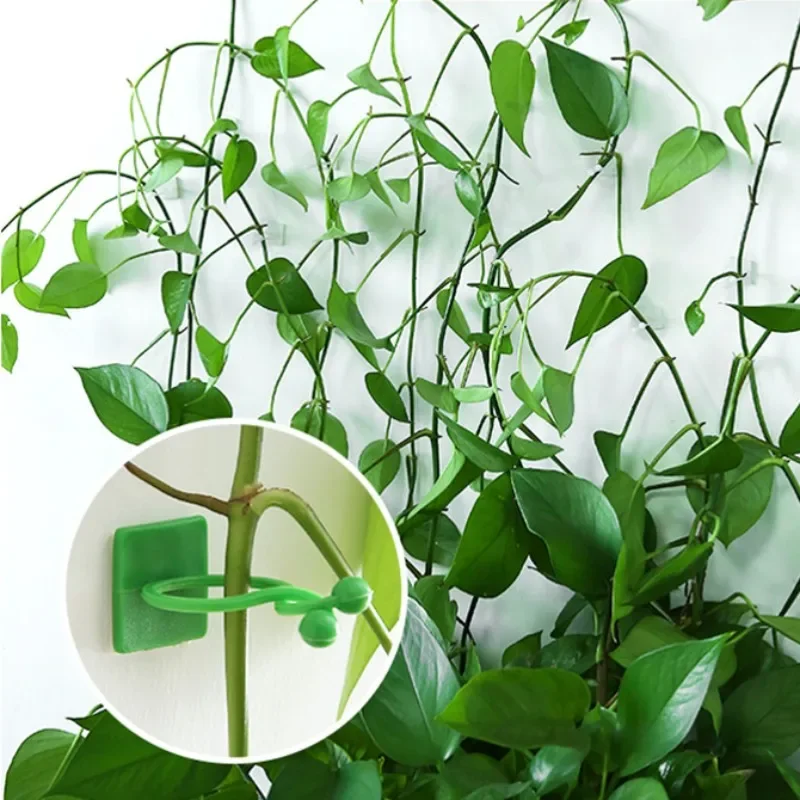 Green plant wall climbing device wall green basket fixed flower buckle climbing vine suction cup hook clip
