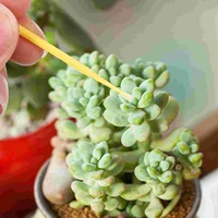 100 Pcs Indoor Disposable Potted Succulents Plants Vegetables Manual Pollination Brush Plastic Yard Fruit Tree Pollinator 2