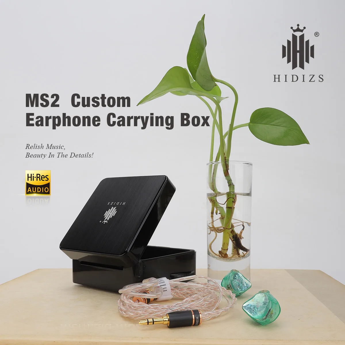 Hidizs MS2 in-Ear Earphone HiFi Hybrid Dual Drivers 1 Knowles BA+1 DD Wired Earphone with 2 Pin 0.78mm Detachable Cable Earbuds