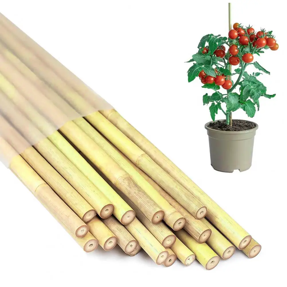 Set Di 10 Canne In Bamb&ugrave; Per Giardino | Pali Per Piante Di Pomodoro E Rampicanti, Altezza 210 Cm, Diametro 22-24 Mm