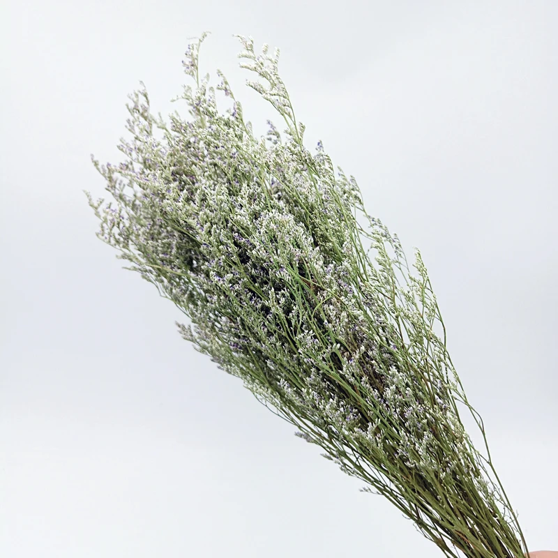 Dried Baby's Breath Bunch