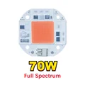 Full Spectrum 70w