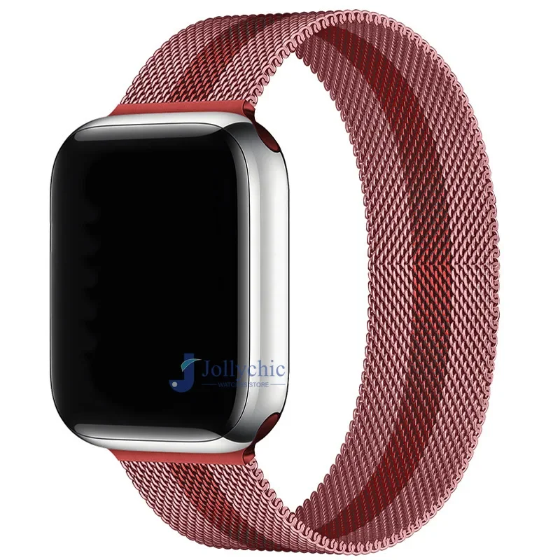 Magnetic Stainless Steel Loop Strap