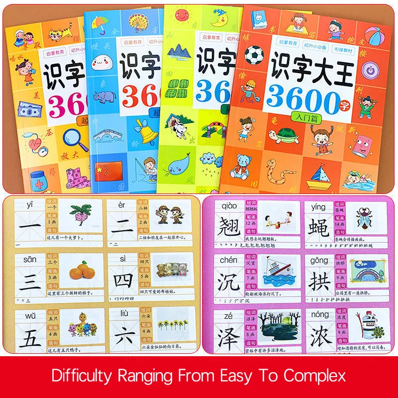 Рисунок 6 - книга с изображением китайских иероглифов