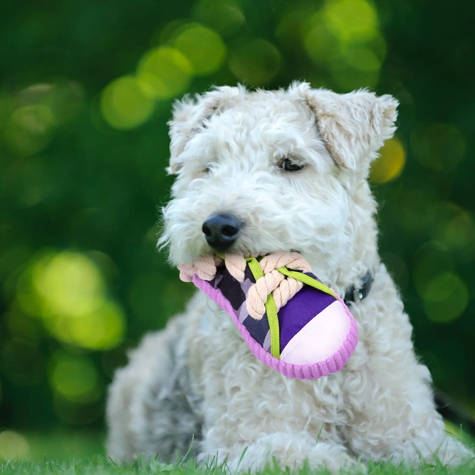 

Dog Chewing Toy Teeth Grinding Dog Toy Funny Shoe Shaped Puppy Biting Plaything Puppy Interactive Pet Dog Supplies