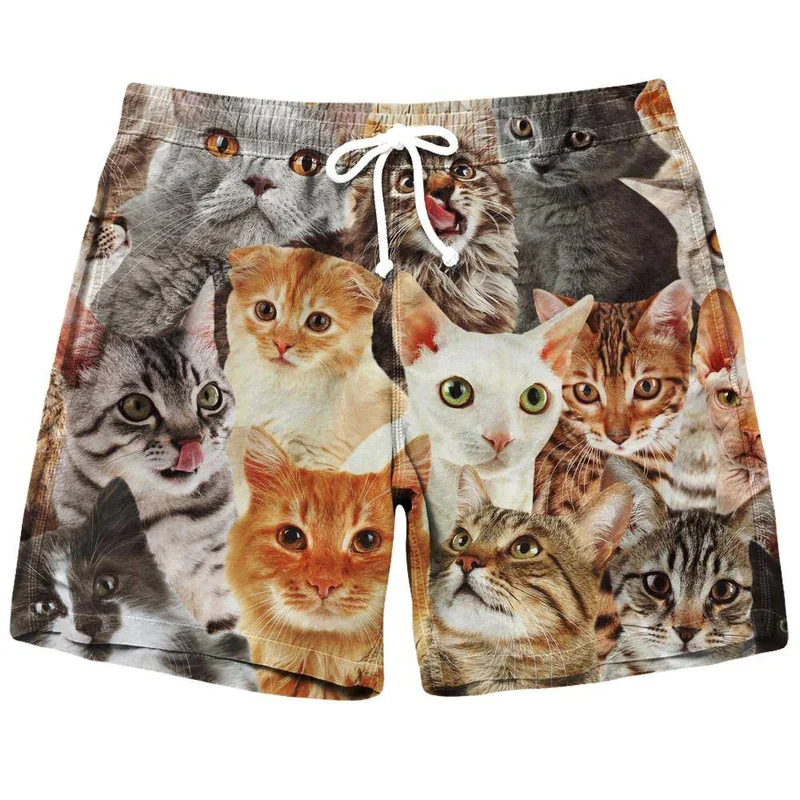 New Men Tiger Cat Beach Shorts 3D Printed Starry Sky Short Pants Fashion Street Oversize Breathable Sports Gym Women Shorts 3