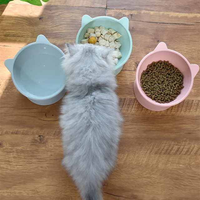 New Pet Cat Dog Bowl High Foot Dog Bowl 45° Neck Protector Cat Pet Food Water Bowl Anti-Overturning Binaural Pet Feeding Bowl 6