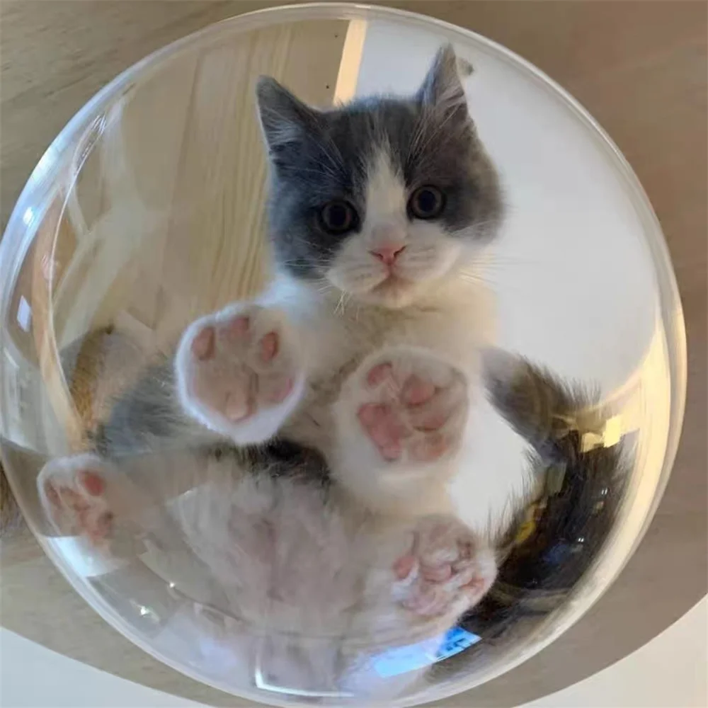 Pet window Dog Porthole Window Round Transparent for Fence Pet Peek Look Out Durable Dome Acrylic Sheet Glass Window Supplies