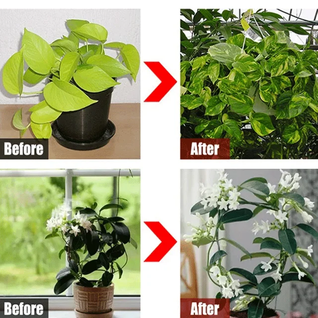 Gyökérzetű Növényi Műtrágya Talaj Aktiválása Kincs Sav Vízben Oldódó Gyökér Kondicionálás Improver Aktivátor Ásványi Anyag - Image 6