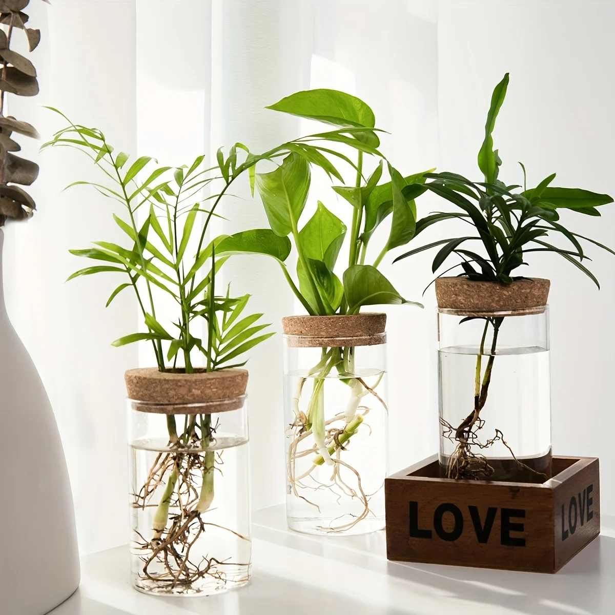 Description Picture 6 of itemMini Glass Vase Hydroponics Plants Desktop for Home Decoration Plant Propagation Station Bud Vase Desktop Hydroponics