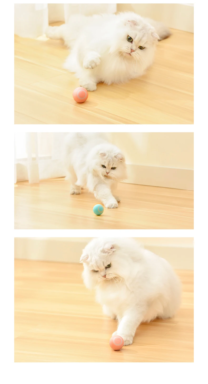 Interactive Cat Ball Toy
