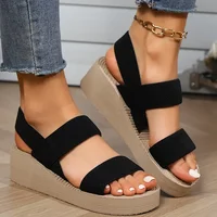 Fashion Trend Women's Wedge Sandals Non Slip Slipper Platform Ankle Strap Slingback Lightweight Women Shoes Sandalias De Mujer - Image 4