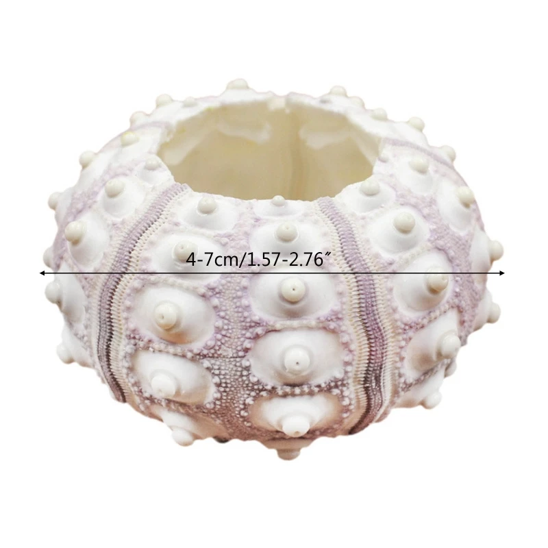Air Plants Sea Urchin Tabletop Tillandsia Holder Miniature Gardening Decorations