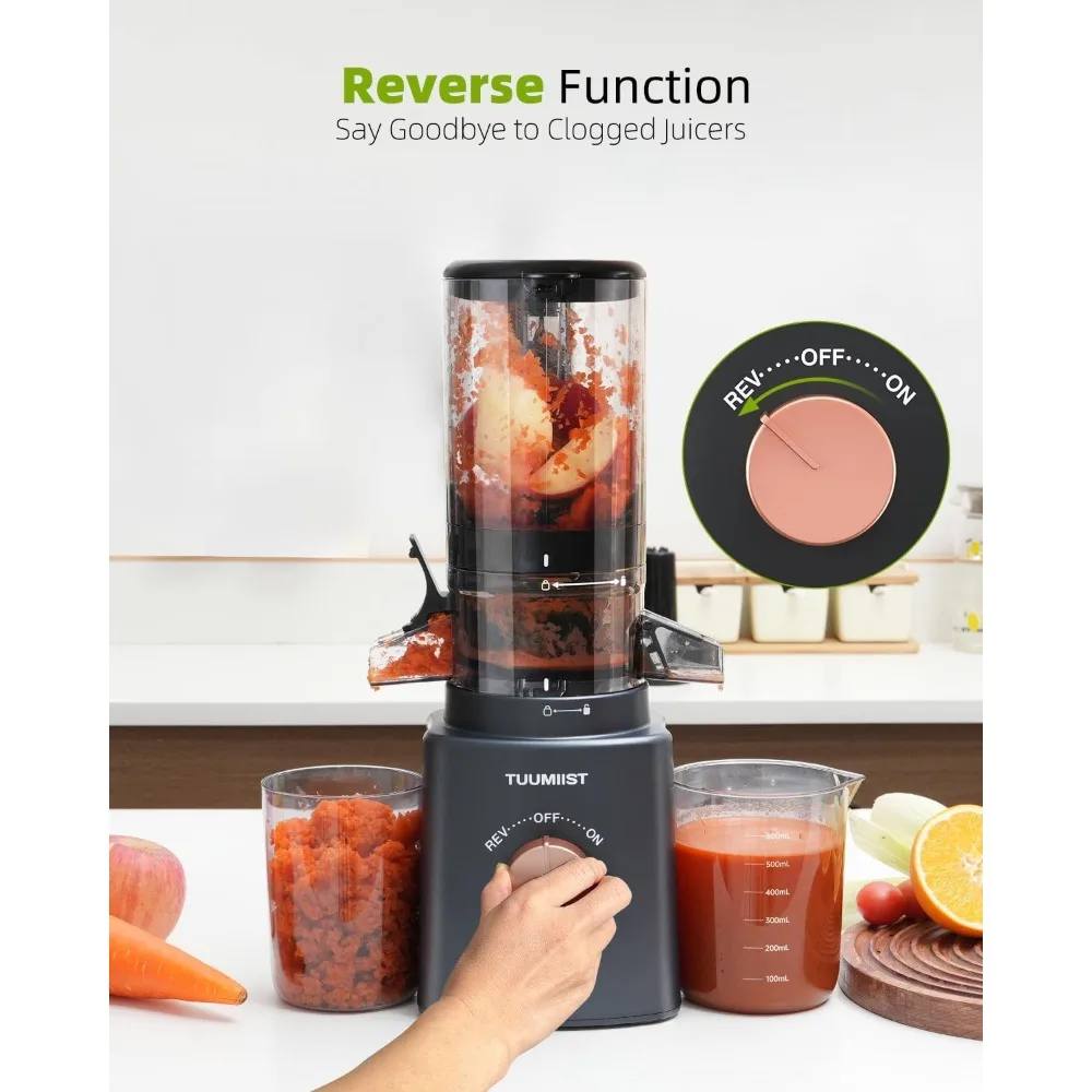 Juicer Machines,Cold Press Juicer with 4.25'' Large Feed Chute Fit Whole Vegetable And Fruit, Masticating Juicer Easy To Clean 6