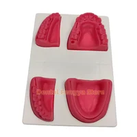 Kit de pratique de suture chirurgicale orale avec bloc de suture, modèle dentaire d'entraînement, module de formation en suture orale dentaire, 18 pièces/ensemble 3