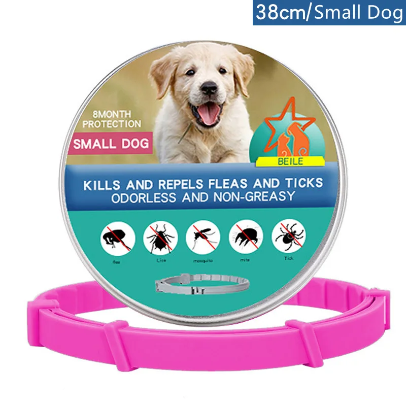 Small Dog-38cm Box P