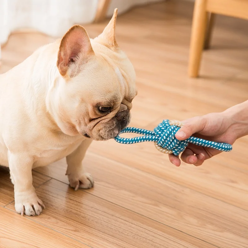Interactive Cotton Rope Chew Ball For Dogs And Puppy Teething_voghion.com