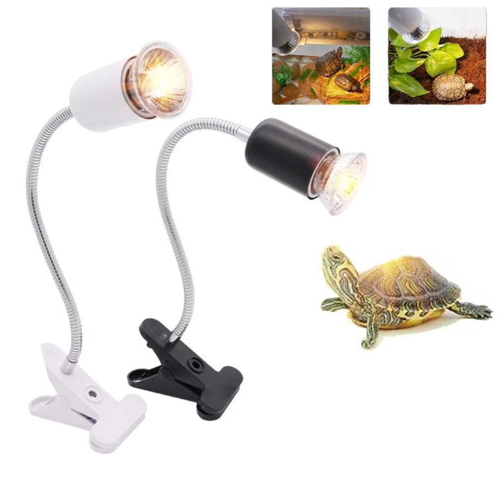 Lampe Uv Et Chauffante Pour Tortue Terrestre