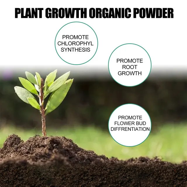 120 G Növényi Gyors Gyökérpor Elősegíti A Növekedés Szerves Rügyének Differenciálódását Klorofil -Szintézis Virágokhoz - Image 5