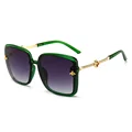 Sunglasses with case