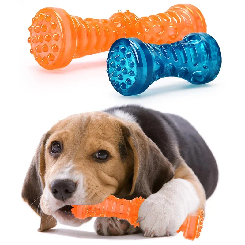 Interactive Dog Toothbrush Bone Chew Toy