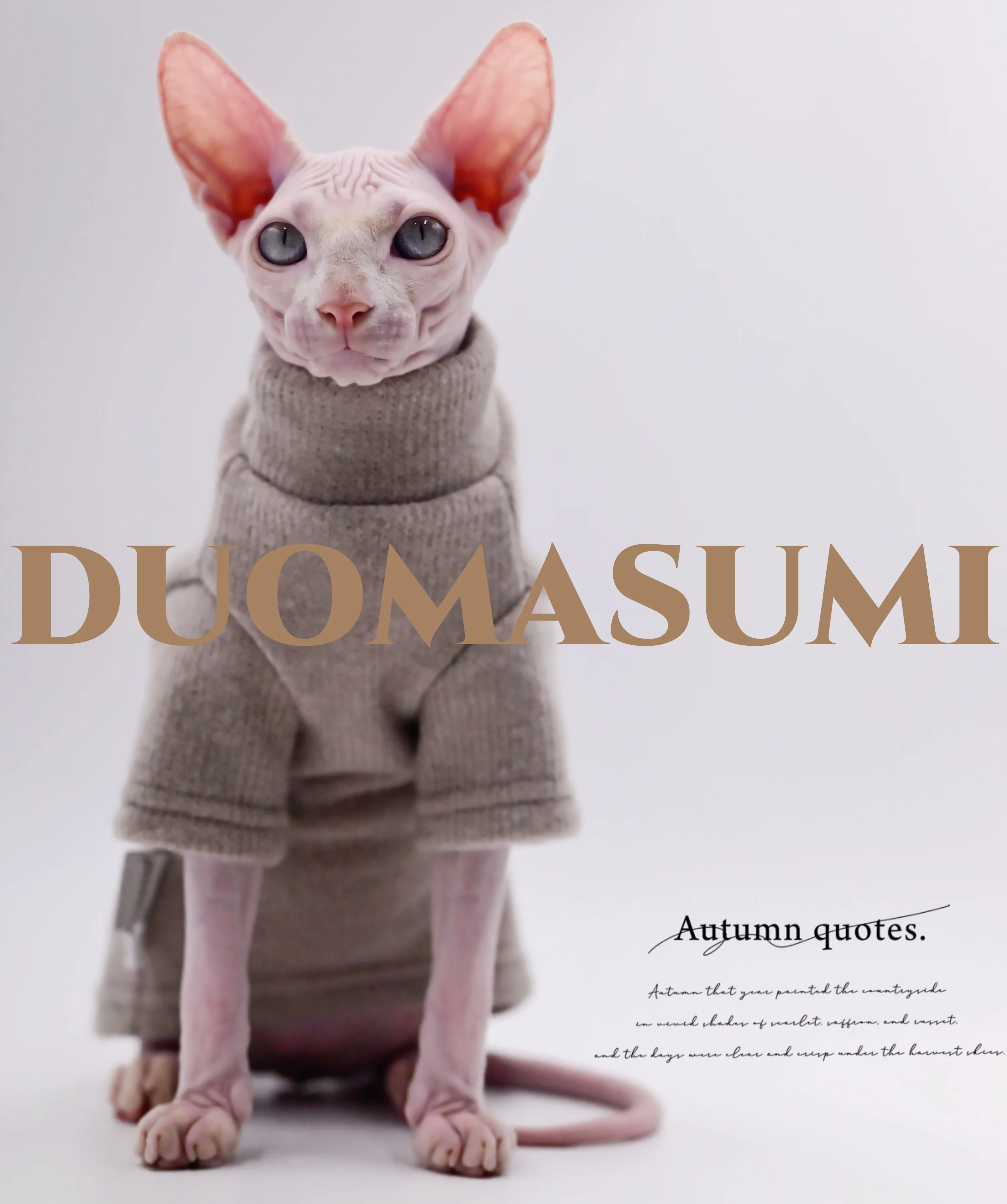 

Sphynx and Devon Rex Cat Winter Coat - Warm and Thickened Double Layer Cat Apparel for Hairless Cat