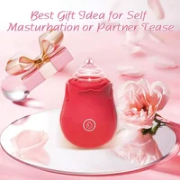 10-Gang-Rosenvibrator, G-Punkt-Dildo, vaginales Klitoris-Saugen, Sexspielzeug für Frauen, leistungsstarker Vakuum-Vibrator, Massagegerät, USB wiederaufladbar 5