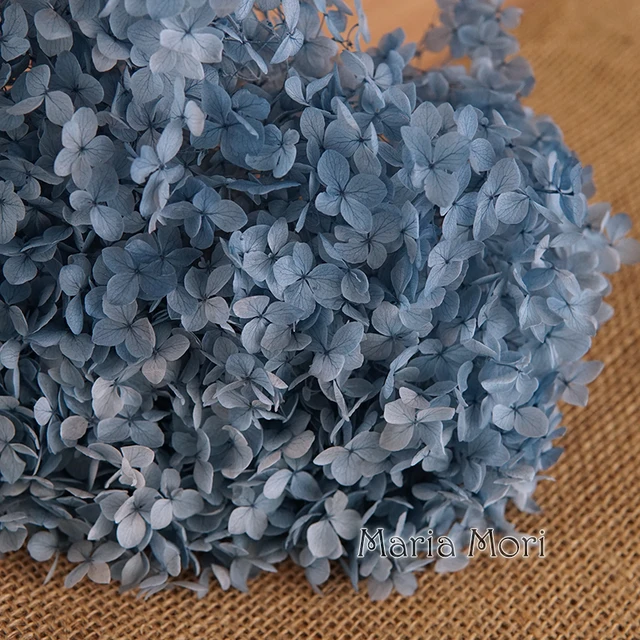 Anna Hydrangea  Flowers  Little  Leaves Preserved Hydrangea Decor  Office Decor  DIY Flowers Color 93