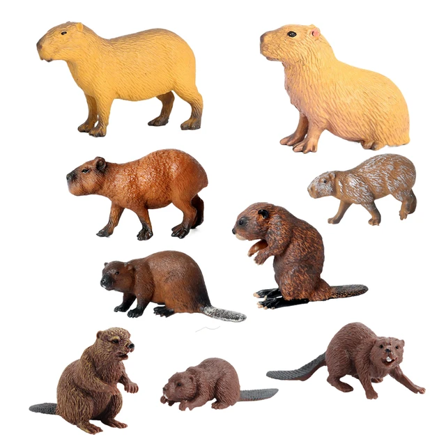 Modello di animali scultura in miniatura di capibara per regalo di  compleanno giocattolo per feste bambini - AliExpress