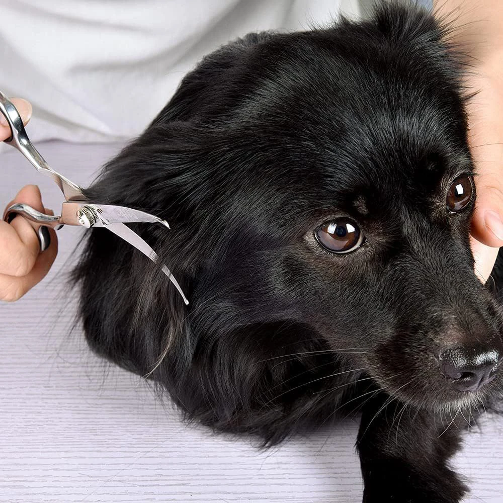 Dog Grooming Scissors Pet Hair Scissors Grooming Stainless Steel Dog Scissors Pets Shears Animal Cutting Feet Ear Eye Hair Trimming