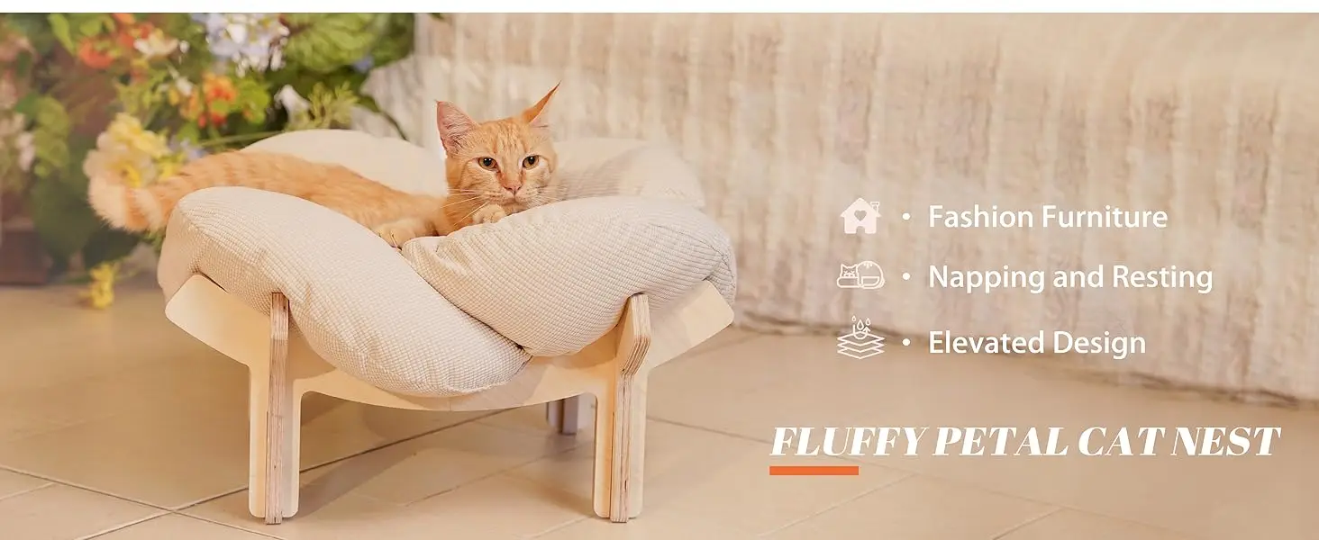 cat bed