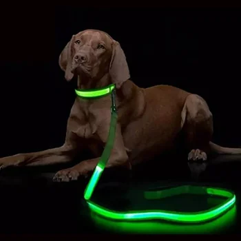 Dogs LED Light Up Leash – Flashing Luminous Safety Rope Lead for Night Walking 1