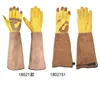 Durable Long Gardening Gloves Rose Pruning Thorn Proof Garden Gloves With Long Forearm Protection Gauntlets Unisex In Stock 6